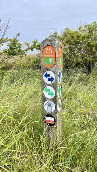Urlaub am Meer ohne Auto – wie kommst du nach Callantsoog?